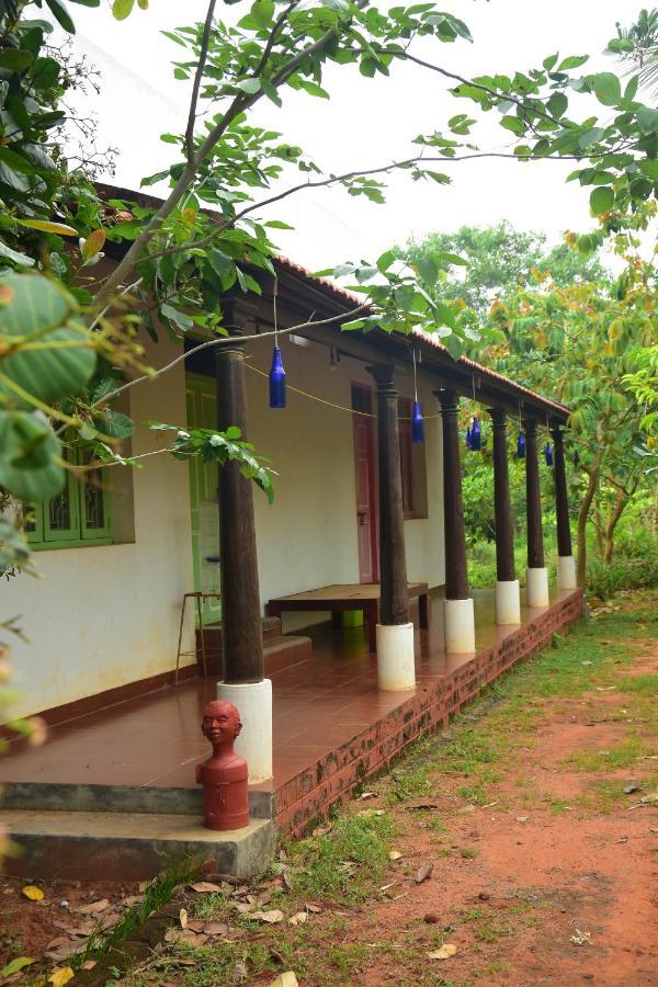 Paradise Quest Nature Farmhouse Villa Kalapettai Exterior photo