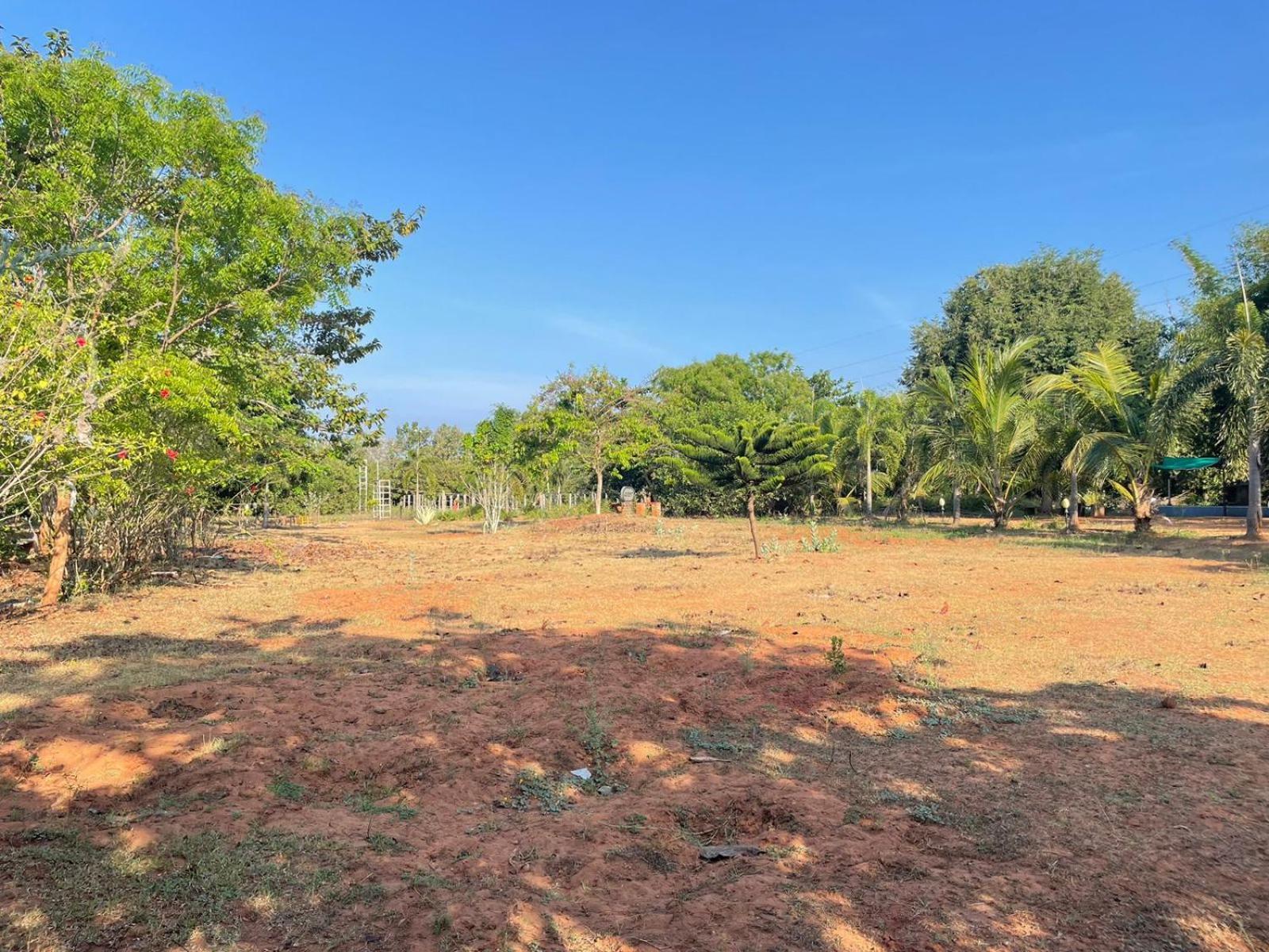 Paradise Quest Nature Farmhouse Villa Kalapettai Exterior photo